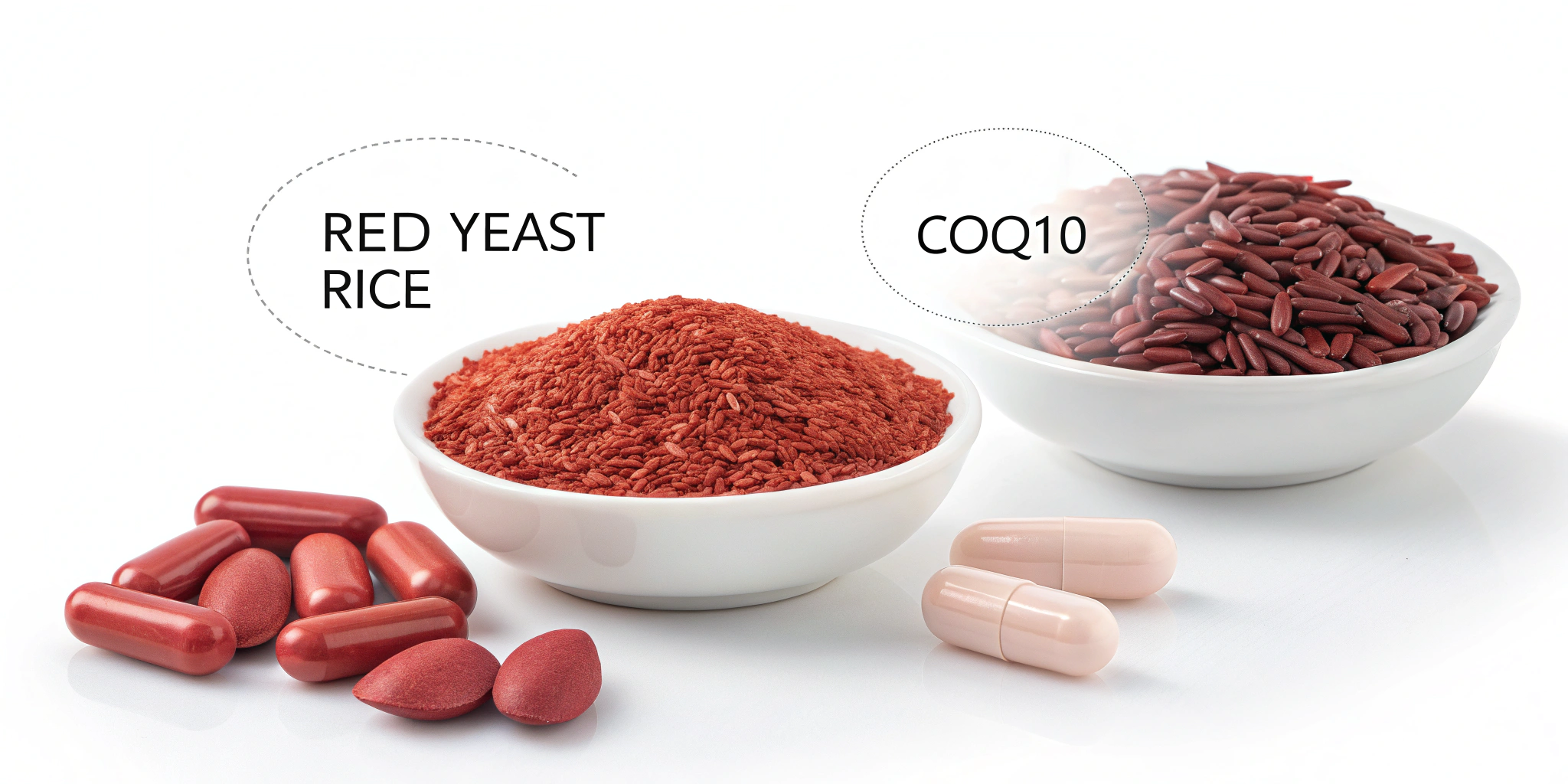 Why Combine Red Yeast Rice with CoQ10 | 4 Reasons