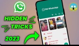 Balancing Privacy and Convenience with FM WhatsApp